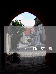 小鵝花錢逾期三個月，如何解決？